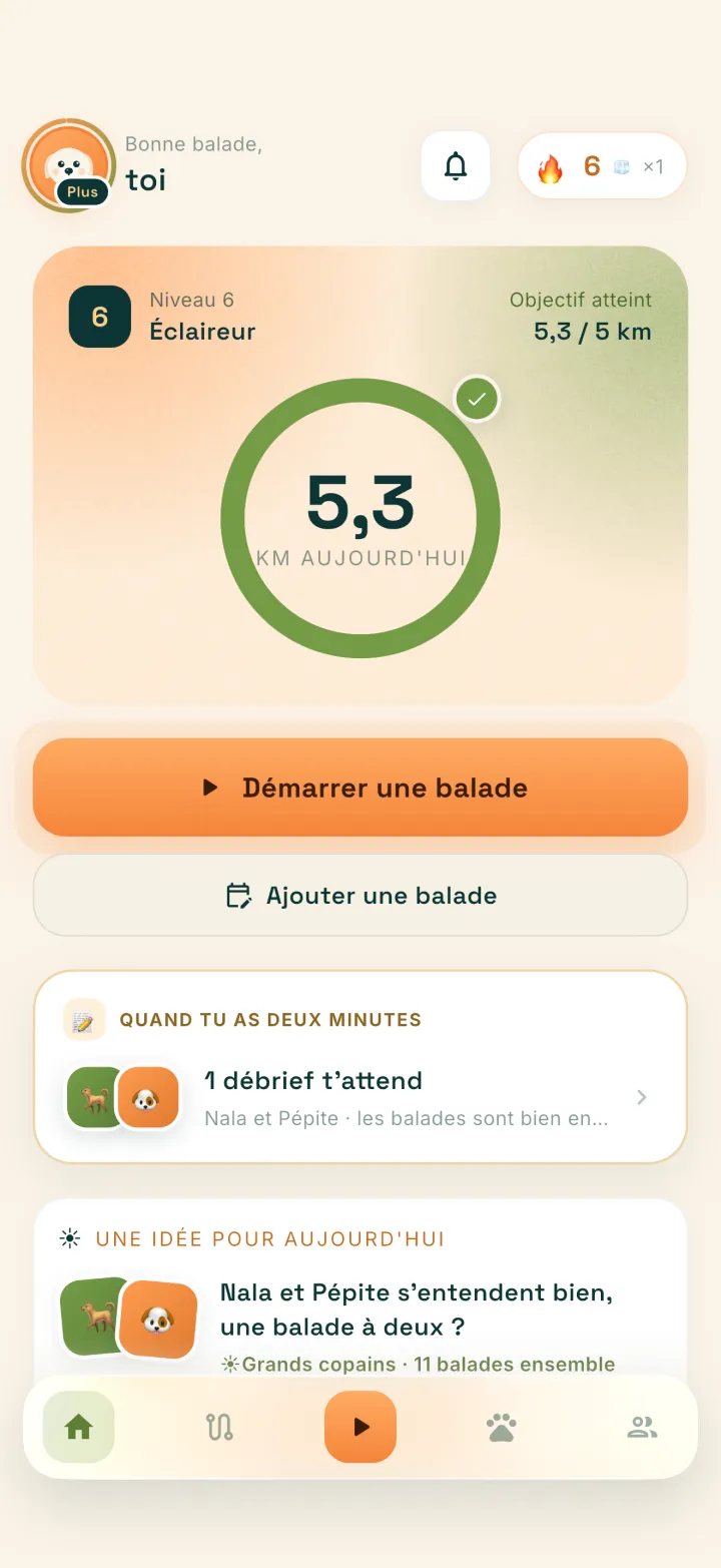 L'accueil de Gambade : objectif du jour, série en cours et démarrage de balade.