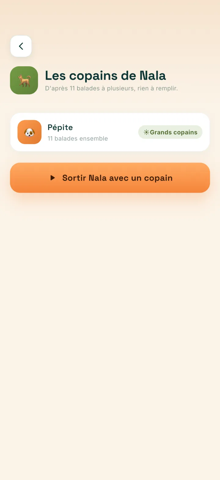 Les copains d'un chien, déduits des balades communes.